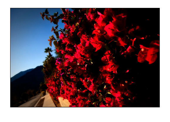 sidewalk