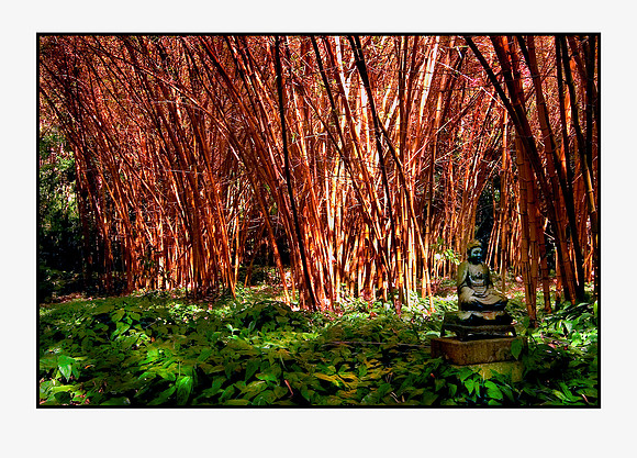 buddha shrine, Allerton Gardens